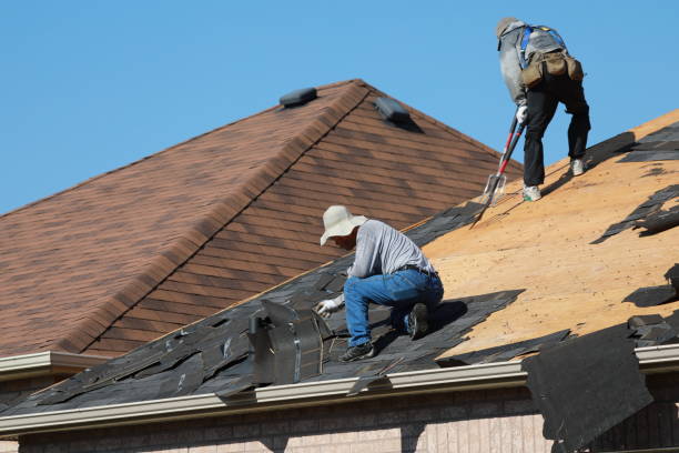 Best Gutter Installation and Repair  in Fowlerville, MI