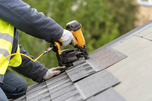Best Asphalt Shingle Roofing  in Fowlerville, MI