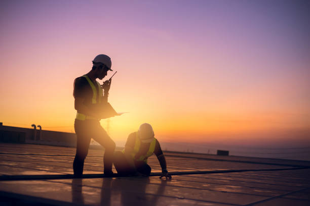 Best Roof Moss and Algae Removal  in Fowlerville, MI